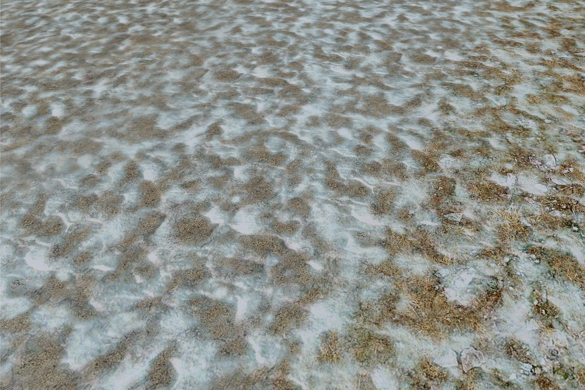 AUTUMN AND WINTER TEXTURE PACK, a Textures & Material 3D Model by Beatheart Creative Studio (Photo 37 of 58)