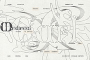 Medieval Curl Typeface, a Handwritten Font by softulka (Thumbnail 3 of 8)