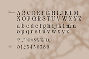 Molyn Modern Serif Font, a Serif Font by Perfectype (Thumbnail 8 of 8)