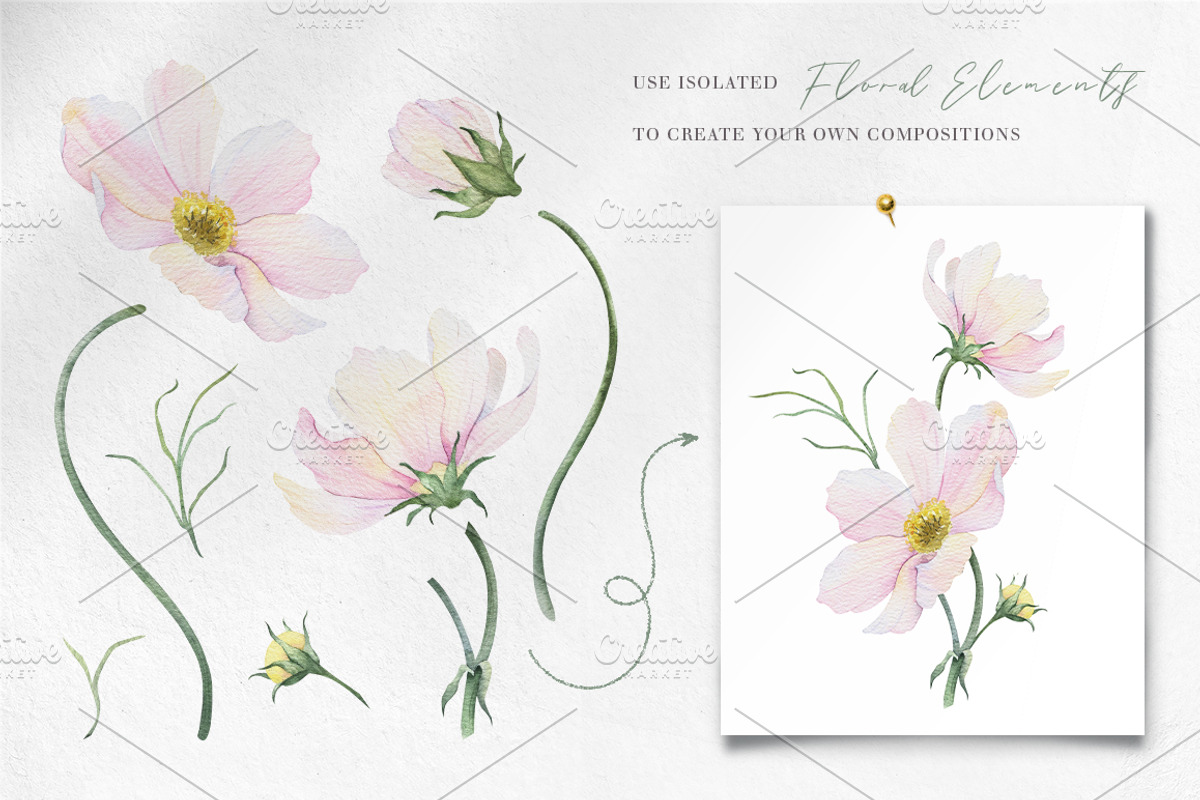 Pink Flowers Watercolor clip art, an Illustration by Fedulova Art (Photo 4 of 12)