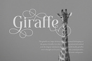 Blessing Melody - Stylish Serif, a Serif Font by epicatype (Thumbnail 9 of 10)