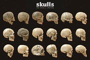 Skulls: 108 Skull Images, an Object Graphic by RuleByArt (Thumbnail 16 of 16)
