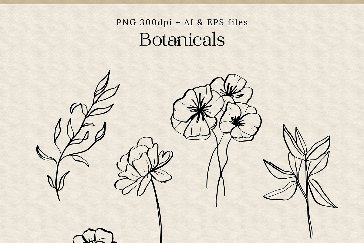 Flowers & Insects | Black Ink Art, an Illustration by amber&ink (Photo 6 of 12)