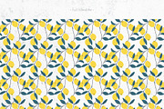 Lemon Cliparts, Frames & Patterns, a Decorative Illustration by Panna Limon Store (Thumbnail 16 of 18)