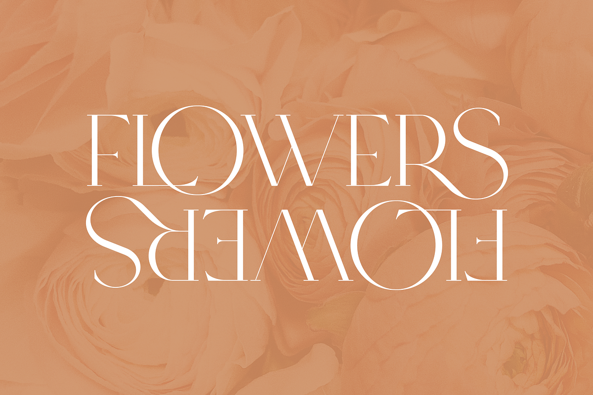 SALE! Type Maestro -  serif font, a Serif Font by VP Fonts (Photo 12 of 25)