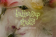 Dreaming Ocean | Curly Whimsy Font, a Handwritten Font by type peace (Thumbnail 7 of 15)