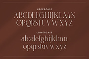 Hara - Modern Serif Typeface, a Serif Font by Typefactoryco (Thumbnail 2 of 10)