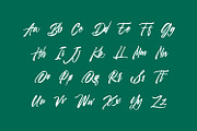 Rio de Janeiro Script Brush Font, a Script Font by WhymoreArt (Thumbnail 9 of 10)