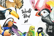 Beautifull Fly-bird set, a Texture Illustration by KatBranchArt (Thumbnail 1 of 4)
