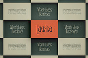 Reina Sofia - Vintage Display Serif, a Serif Font by SilverStag Type Foundry (Thumbnail 29 of 30)