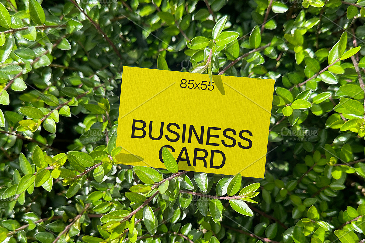Green Leaf Business Card Mockup, a Mockup by Quirko (Photo 2 of 7)
