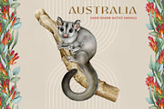 Australia Flora Fauna Clipart, an Animal Illustration by AnitaPol (Thumbnail 10 of 27)