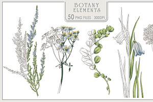 Botanical Fresco & Graphics