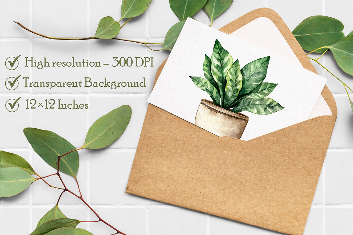 Watercolor Home Plants Clipart, an Illustration by Libby Wishes (Photo 7 of 7)