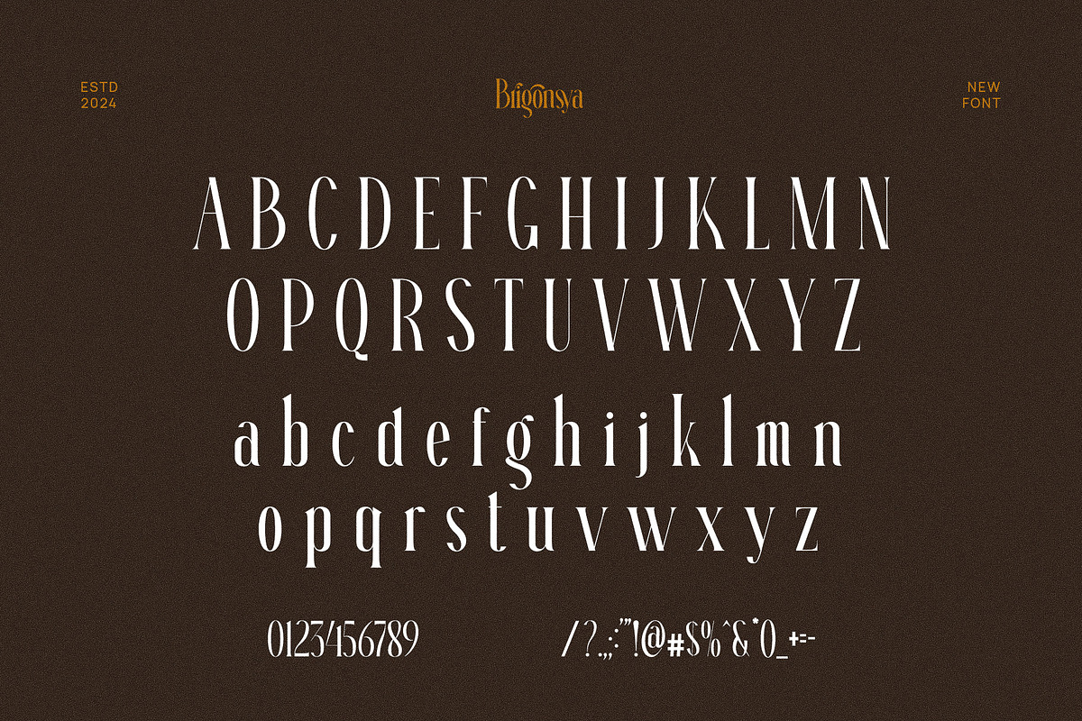 Brigonsya Elegant Ligature Serif Fon, a Serif Font by Perfectype (Photo 6 of 6)