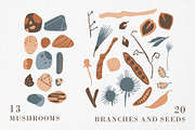 FOREST TREASURES big vector bundle, a Decorative Illustration by Lena Nikolaeva (Thumbnail 7 of 16)