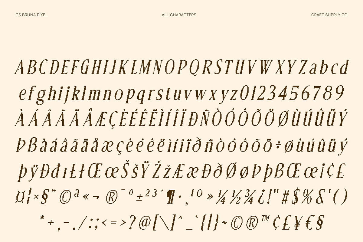 CS Bruna Pixel, a Serif Font by Craft Supply Co. (Photo 8 of 8)