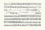 Yarar, a Serif Font by True Story Letterworks (Thumbnail 5 of 11)