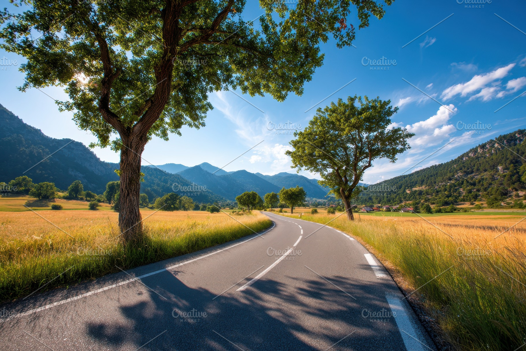 American empty paved road, a Nature Photo by AlyaAnd