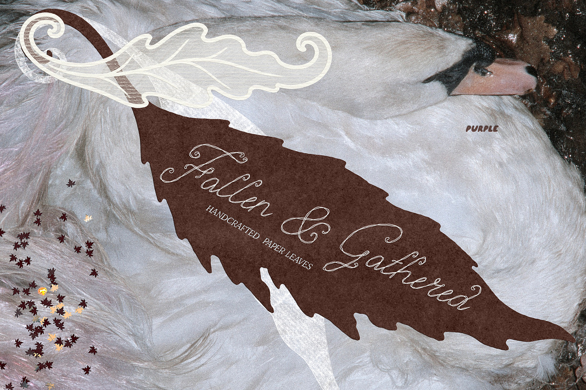 Fallen & Gathered Paper Collage, an Object Graphic by Purple (Photo 6 of 13)