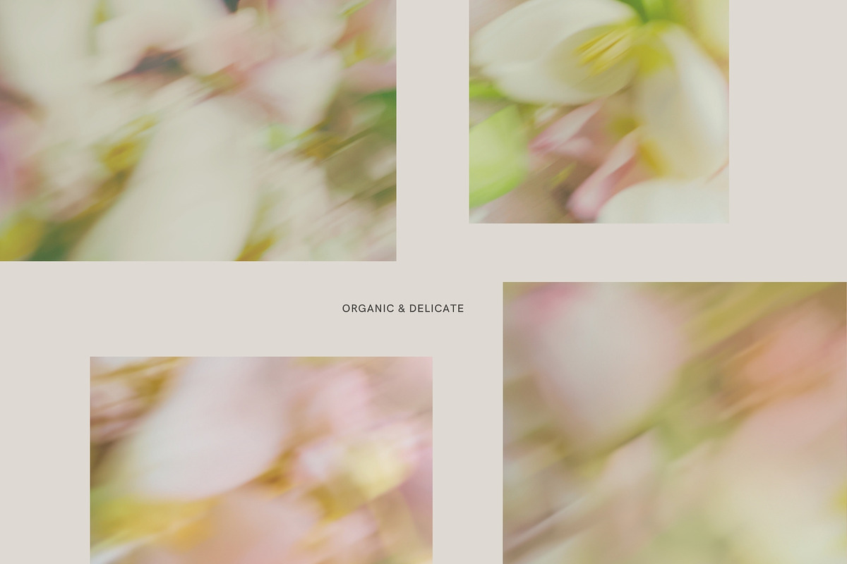 Soft Floral Spring Blur Backgrounds, a Background Graphic by eclosque (Photo 9 of 48)