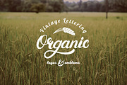 184 Lettering Logo Bundle, a Branding & Logo Template by Letters-Shmetters (Thumbnail 17 of 22)