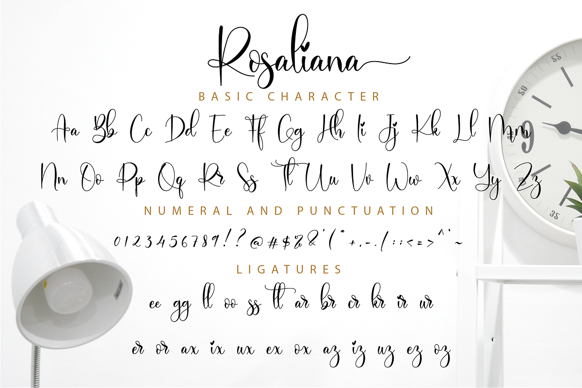 Rosaliana Script, a Script Font by Nissa Studio (Photo 11 of 12)