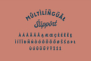 Palmer Script & Sans + Logo Template, a Script Font by Andrey Sharonov (Thumbnail 13 of 17)