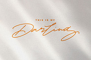Cynthia Blooms - Ligature Font, a Script Font by Dirtyline Studio (Thumbnail 2 of 11)