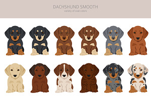 Dachshund Smooth Clipart