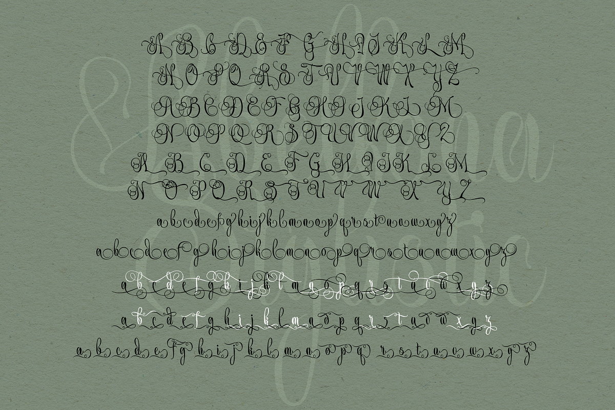 Abellona Script, a Script Font by TypeClassHeroes (Photo 8 of 11)