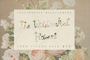 Hand Drawn Floral Whimsy Script Font, a Handwritten Font by Laras Wonderland (Thumbnail 5 of 16)