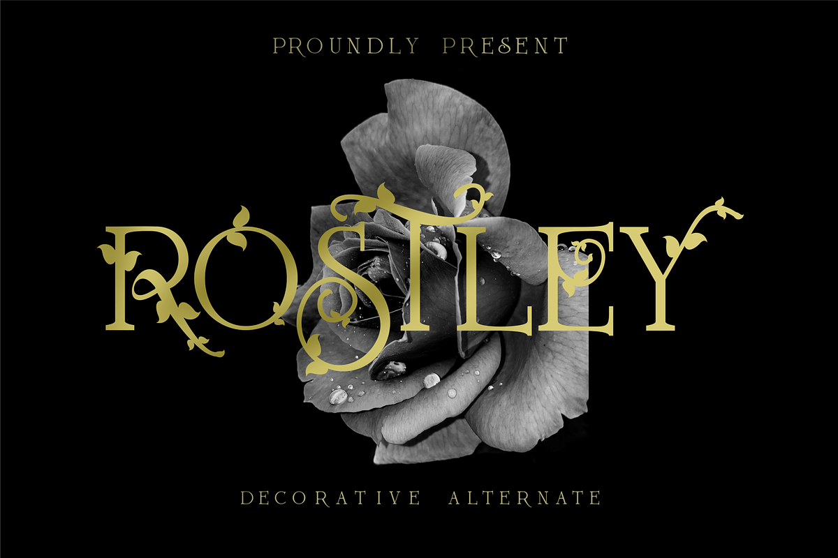 Rostley, a Serif Font by blunesia (Photo 1 of 6)