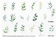 Eucalyptus Watercolor, an Object Illustration by CaraulanStore (Thumbnail 11 of 19)