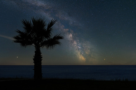 Beautiful night landscape with palm, ocean and the Milky Way gal, a Nature Photo by Byrdyak