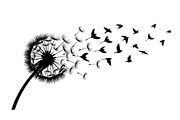 Dandelion Blow Silhouette Bundle, an Illustration by yasushie (Thumbnail 22 of 31)