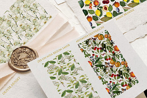 Tender Botany - Vintage Set