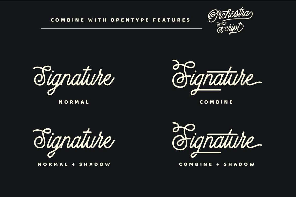 Orchestra Script - Monoline Typeface, a Script Font by ianmikraz (Photo 9 of 14)