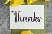 Sideney, a Handwritten Font by InermediaSTUDIO (Thumbnail 8 of 8)