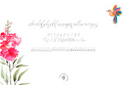 Colibri, a Script Font by Blossom (Thumbnail 5 of 5)