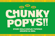 Chunky Popys Sticky Display Font, a Sans Serif Font by Heinzel Std (Thumbnail 1 of 12)