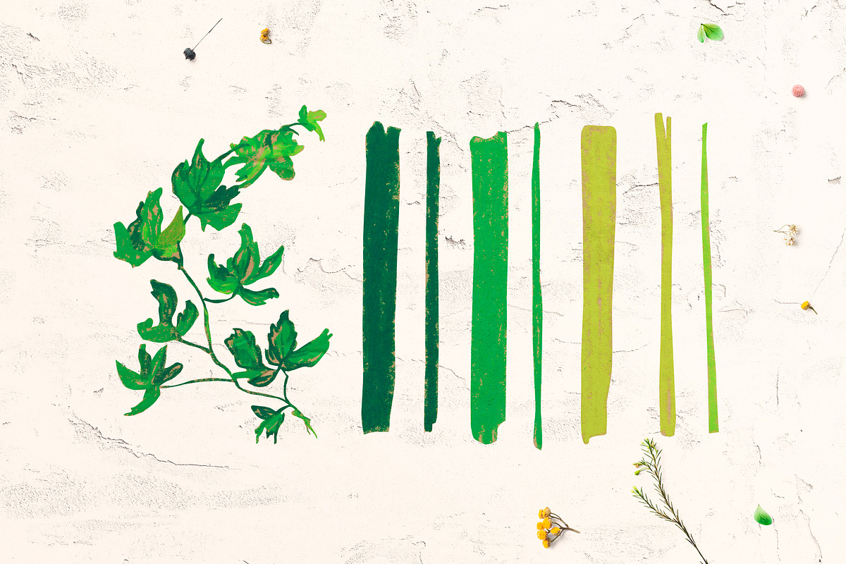 Crayon Ivy & Grape Vine Clipart, a Healthcare Illustration by Lucyinyourheart (Photo 5 of 5)