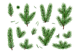 Green fir branches. Realistic pine, an Object Illustration by YummyBuum
