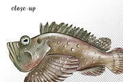 Watercolor Australia Animals Clipart, an Animal Illustration by svetodesign (Thumbnail 5 of 9)