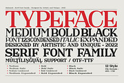 Raimond - Serif font family, a Serif Font by Artistic & Unique (Thumbnail 13 of 15)