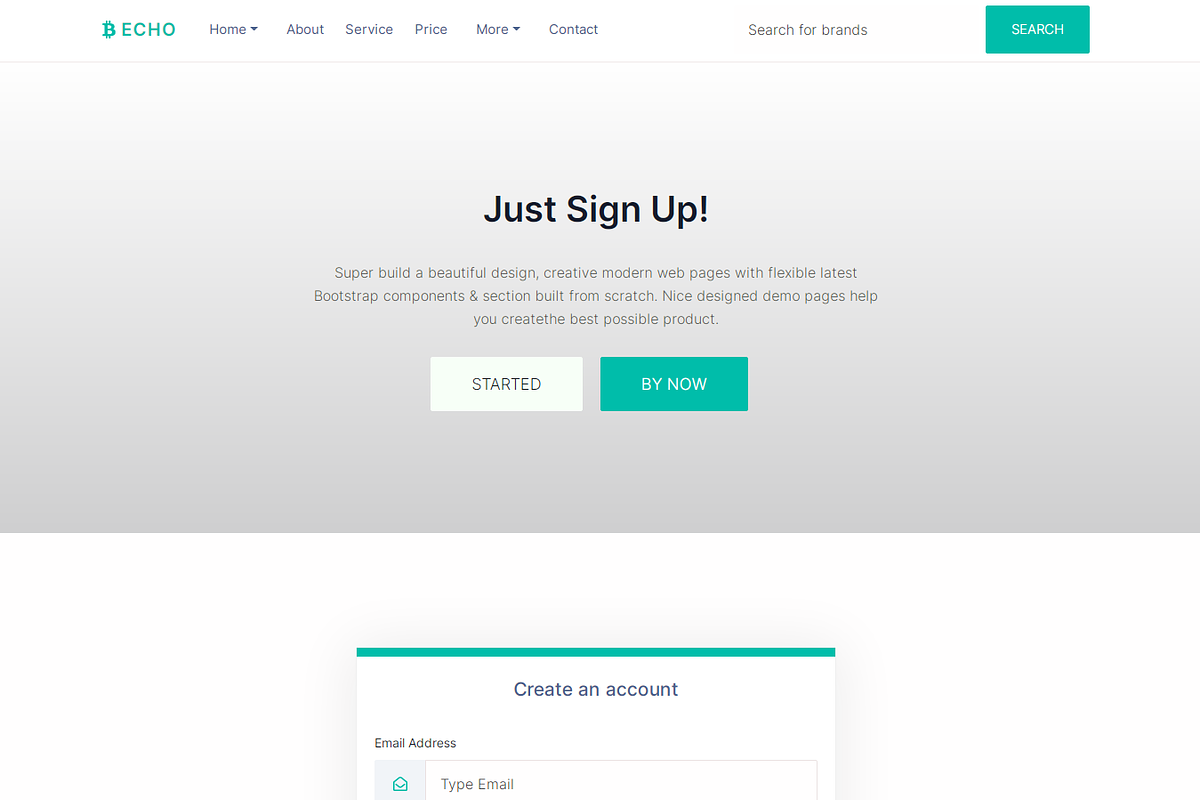 Echo - Multipurpose HTML Template, a HTML Template by Design Collection (Photo 9 of 9)