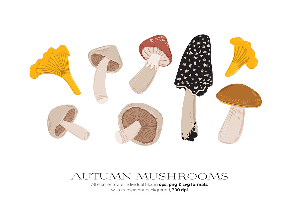 Magic Autumn, Cozy Fall Mood, an Illustration by Ruslana Lubenets (Photo 4 of 19)
