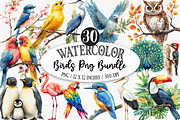 Watercolor Birds Png Bundle, an Illustration by Designking (Thumbnail 1 of 5)