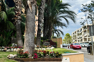 Street view of a Mediterranean town in Spain with hotel and palm trees, a Photo by AS photostudio