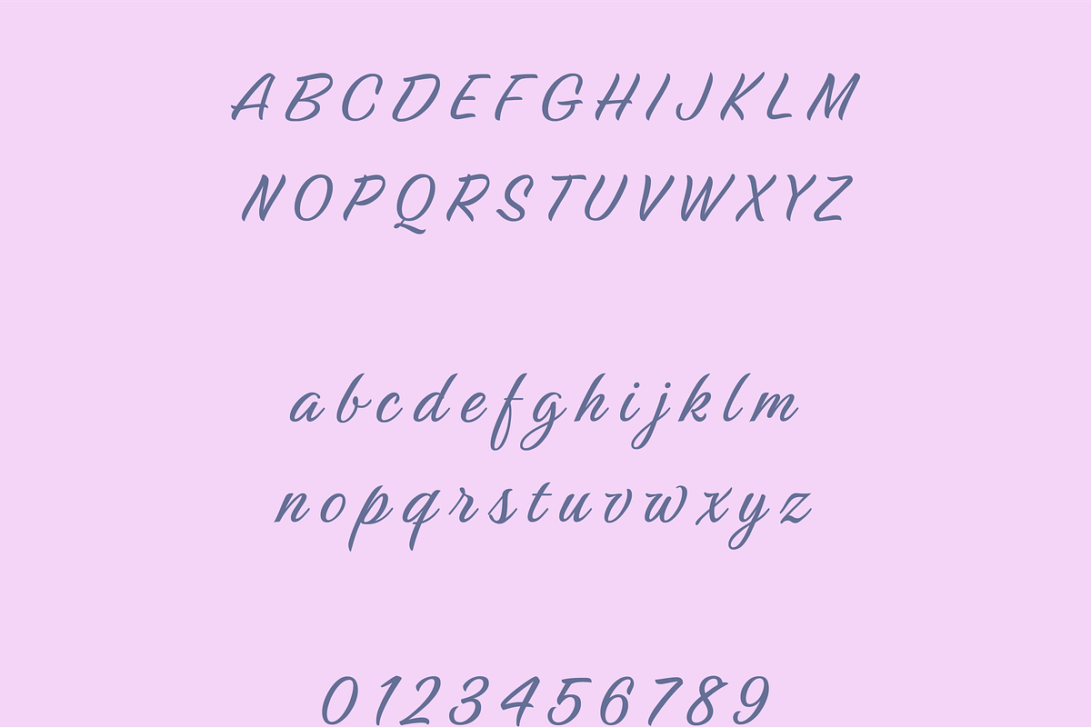 Panole Calligraphy Script, a Script Font by Creative Foundry (Photo 6 of 8)